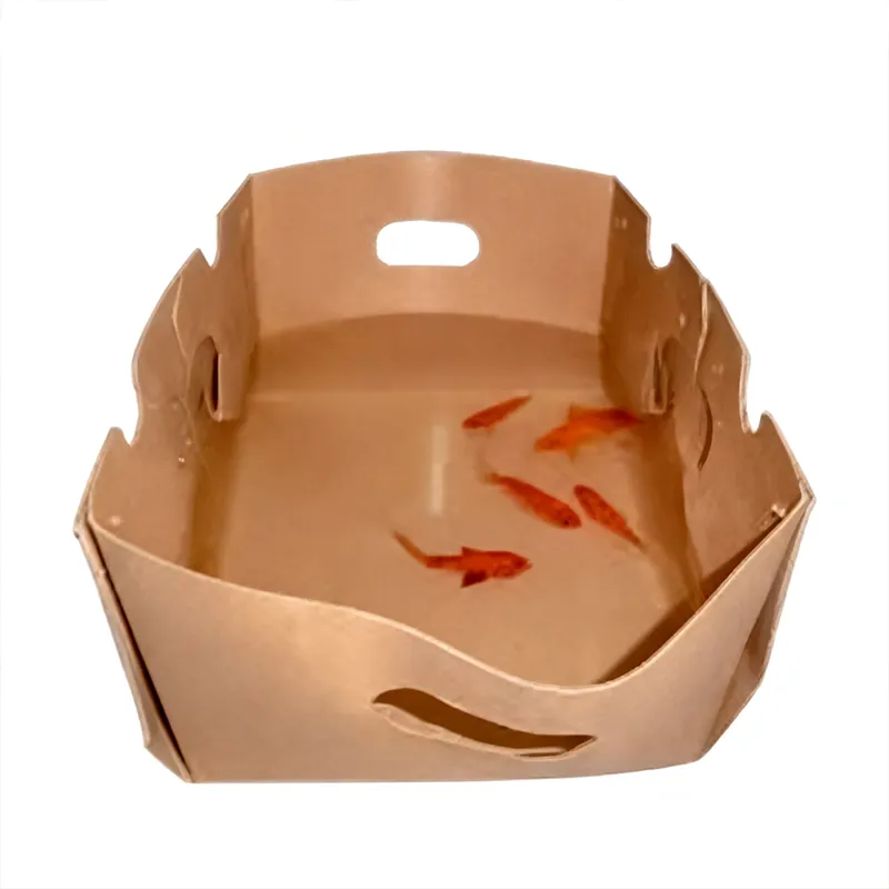 मोमको दफ़्ती